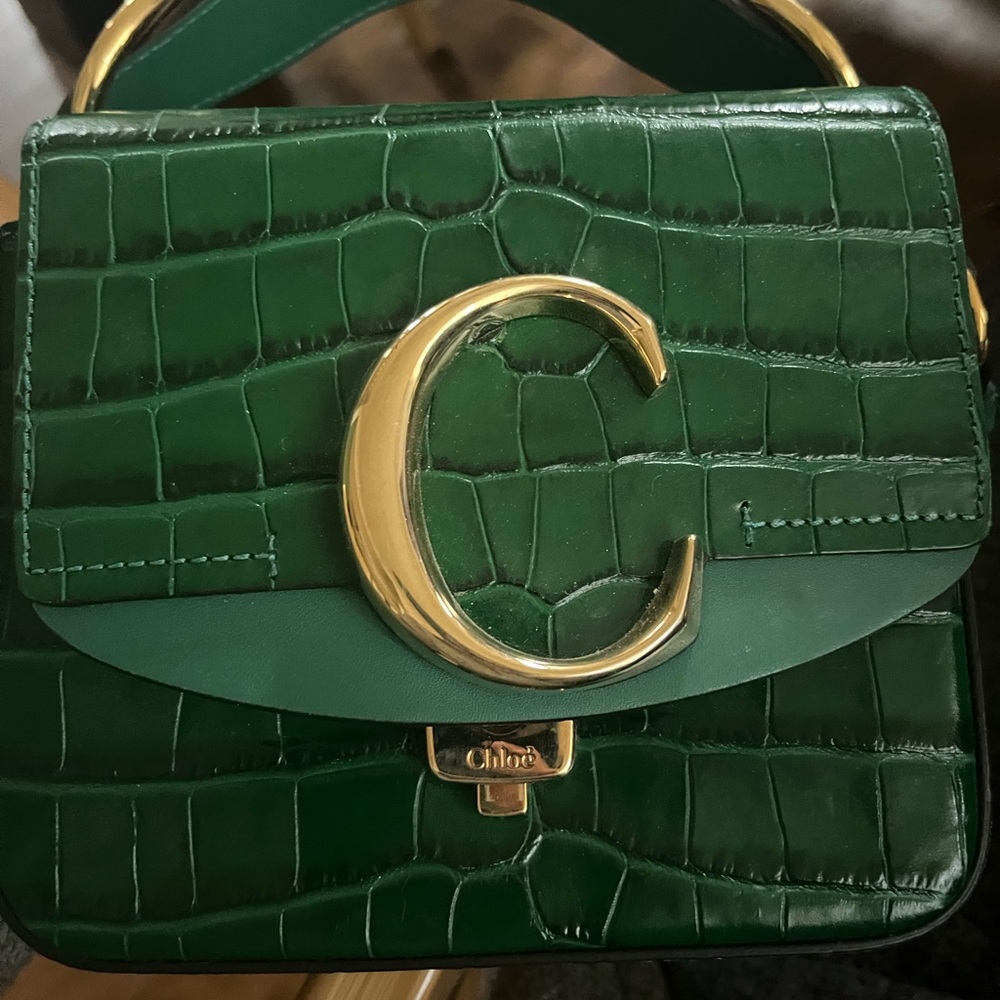 Chloe Emerald Croc-Embossed Mini Bag with Gold Accent